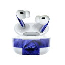 Air Pods Pro2 / Pro1 専用 デザインスキンシール airpods エアポッド apple アップル AirPods Pro 第1世代 airpodsPro 第2世代 対応 イヤホン カバー デコレーション アクセサリー デコシール 023736 花 フラワー バラ