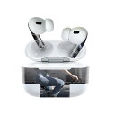 Air Pods Pro2 / Pro1 専用 デザインスキンシール airpods エアポッド apple アップル AirPods Pro 第1世代 airpodsPro 第2世代 対応 イヤホン カバー デコレーション アクセサリー デコシール 023760 自転車 女性 人物(2)