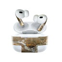 Air Pods Pro2 / Pro1 専用 デザインスキンシール airpods エアポッド apple アップル AirPods Pro 第1世代 airpodsPro 第2世代 対応 イヤホン カバー デコレーション アクセサリー デコシール 023941 山 景色 写真