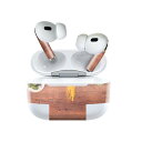 楽天スマコレAir Pods Pro2 / Pro1 専用 デザインスキンシール airpods エアポッド apple アップル AirPods Pro 第1世代 airpodsPro 第2世代 対応 イヤホン カバー デコレーション アクセサリー デコシール 025598 食べ物　野菜　料理　写真