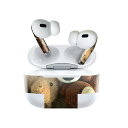 Air Pods Pro2 / Pro1 専用 デザインスキンシール airpods エアポッド apple アップル AirPods Pro 第1世代 airpodsPro 第2世代 対応 イヤホン カバー デコレーション アクセサリー デコシール 025764 テディベア ぬいぐるみ 人形 クマ