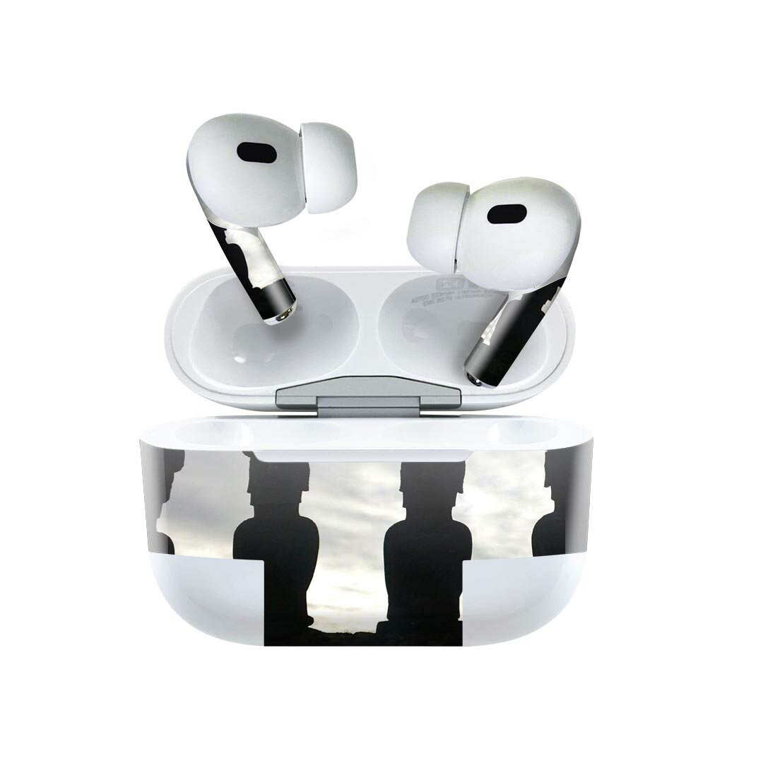 Air Pods Pro2 / Pro1 専用 デザインスキンシール airpods エアポッド apple アップル AirPods Pro 第1..