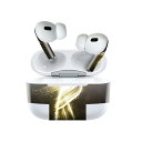 Air Pods Pro2 / Pro1 専用 デザインスキンシール airpods エアポッド apple アップル AirPods Pro 第1世代 airpodsPro 第2世代 対応 イヤホン カバー デコレーション アクセサリー デコシール 004513 鳥 金 ゴールド シンプル(2)