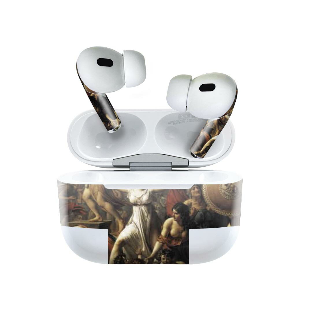 Air Pods Pro2 / Pro1 専用 デザインスキンシール airpods エアポッド apple アップル AirPods Pro 第1世代 airpodsPro 第2世代 対応 イヤホン カバー デコレーション アクセサリー デコシール 011465 イラスト　人物　絵画