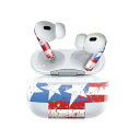Air Pods Pro2 / Pro1 専用 デザインスキンシール airpods エアポッド apple アップル AirPods Pro 第1世代 airpodsPro 第2世代 対応 イヤホン カバー デコレーション アクセサリー デコシール 011517 アメリカ 外国 国旗(2)