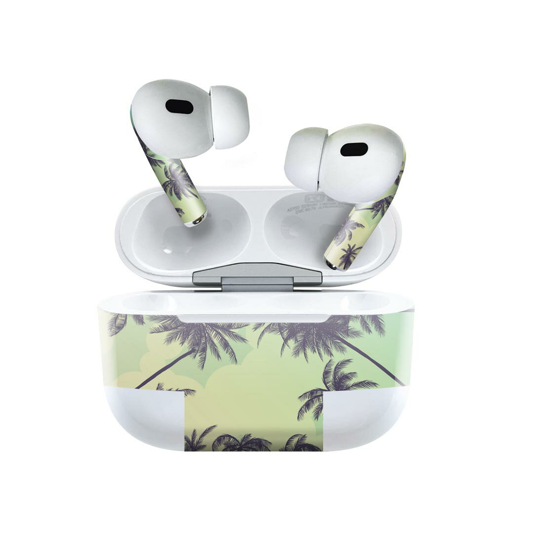 Air Pods Pro2 / Pro1 専用 デザインスキンシール airpods エアポッド apple アップル AirPods Pro 第1..