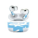 Air Pods Pro2 / Pro1 専用 デザインスキンシール airpods エアポッド apple アップル AirPods Pro 第1世代 airpodsPro 第2世代 対応 イヤホン カバー デコレーション アクセサリー デコシール 014997 飛行機 乗り物(2)