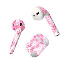 Air Pods 専用 デザインスキンシール airpods エアポッド apple アップル AirPods 第一世代(2016)airpods2 第二世代(...