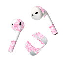 Air Pods 専用 デザインスキンシール airpods エアポッド apple アップル AirPods 第一世代(2016)airpods2 第二世代(...
