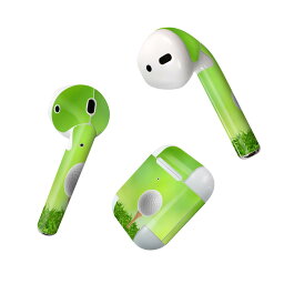 Air Pods 専用 デザインスキンシール airpods エアポッド apple アップル AirPods 第一世代（2016）airpods2 第二世代（2019）対応 イヤホン カバー デコレーション アクセサリー デコシール 000218 ゴルフ　ショット　芝生