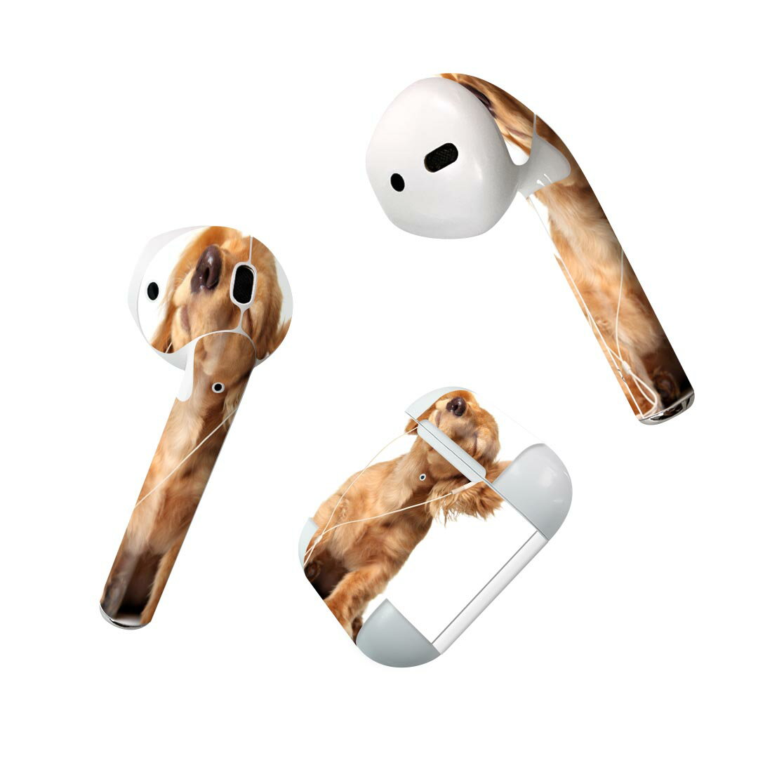 Air Pods 専用 デザインスキンシール a