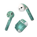 Air Pods 専用 デザインスキンシール airpods エアポッド apple アップル AirPods 第一世代(2016)airpods2 第二世代(...
