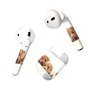 Air Pods 専用 デザインスキンシール airpods エアポッド apple アップル AirPods 第一世代(2016)airpods2 第二世代(...