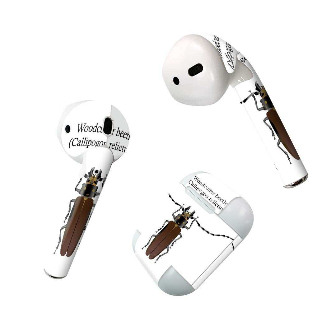 Air Pods 専用 デザインスキンシール airpods エアポッド apple アップル AirPods 第一世代（2016）air..
