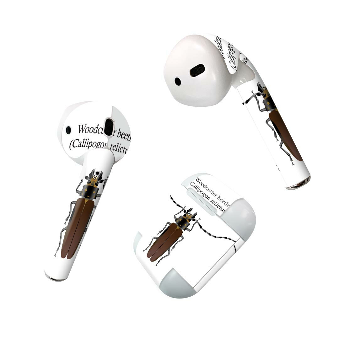 Air Pods  ǥ󥹥󥷡 airpods ݥå apple åץ AirPods 2016airpods2 2019б ۥ С ǥ졼 ꡼ ǥ 020010   åɥå֥ȥॷ