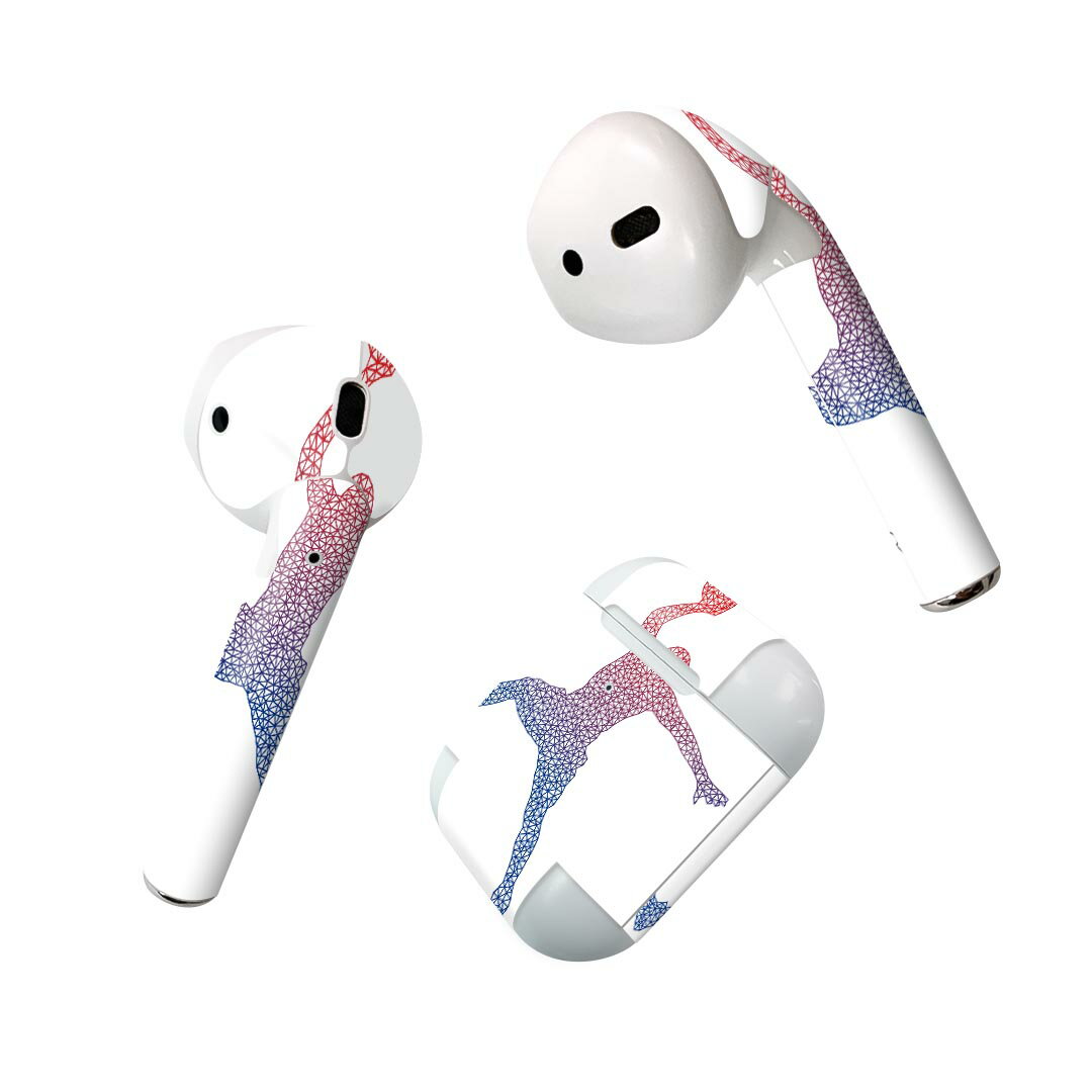 Air Pods 専用 デザインスキンシール airpods エアポッド apple アップル AirPods 第一世代(2016)airpods2 第二世代(2019)対応 イヤホン カバー デコレーション アクセサリー デコシール 020044 スポーツ バスケット