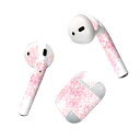 Air Pods 専用 デザインスキンシール airpods エアポッド apple アップル AirPods 第一世代(2016)airpods2 第二世代(...