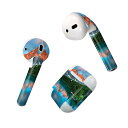 Air Pods 専用 デザインスキンシール airpods エアポッド apple アップル AirPods 第一世代(2016)airpods2 第二世代(...