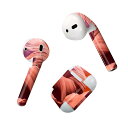 Air Pods 専用 デザインスキンシール airpods エアポッド apple アップル AirPods 第一世代(2016)airpods2 第二世代(...