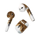 Air Pods 専用 デザインスキンシール airpods エアポッド apple アップル AirPods 第一世代(2016)airpods2 第二世代(...