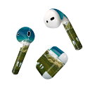 Air Pods 専用 デザインスキンシール airpods エアポッド apple アップル AirPods 第一世代(2016)airpods2 第二世代(...