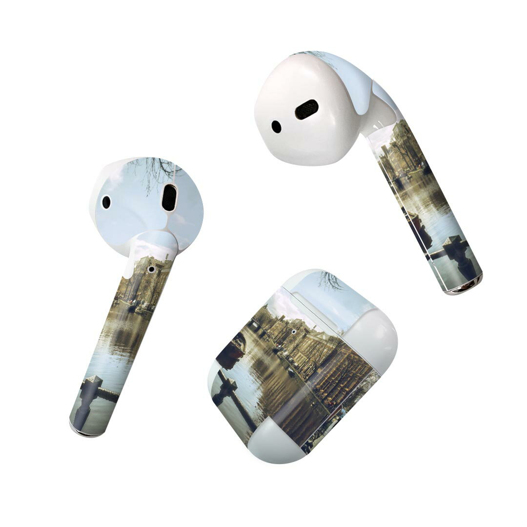 Air Pods 専用 デザインスキンシール airpods エアポッド apple アップル AirPods 第一世代（2016）air..