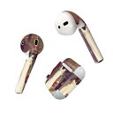 Air Pods 専用 デザインスキンシール airpods エアポッド apple アップル AirPods 第一世代(2016)airpods2 第二世代(...