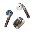 Air Pods 専用 デザインスキンシール airpods エアポッド apple アップル AirPods 第一世代(2016)airpods2 第二世代(...