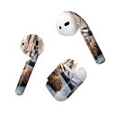 Air Pods 専用 デザインスキンシール airpods エアポッド apple アップル AirPods 第一世代(2016)airpods2 第二世代(...