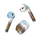 Air Pods 専用 デザインスキンシール airpods エアポッド apple アップル AirPods 第一世代(2016)airpods2 第二世代(...