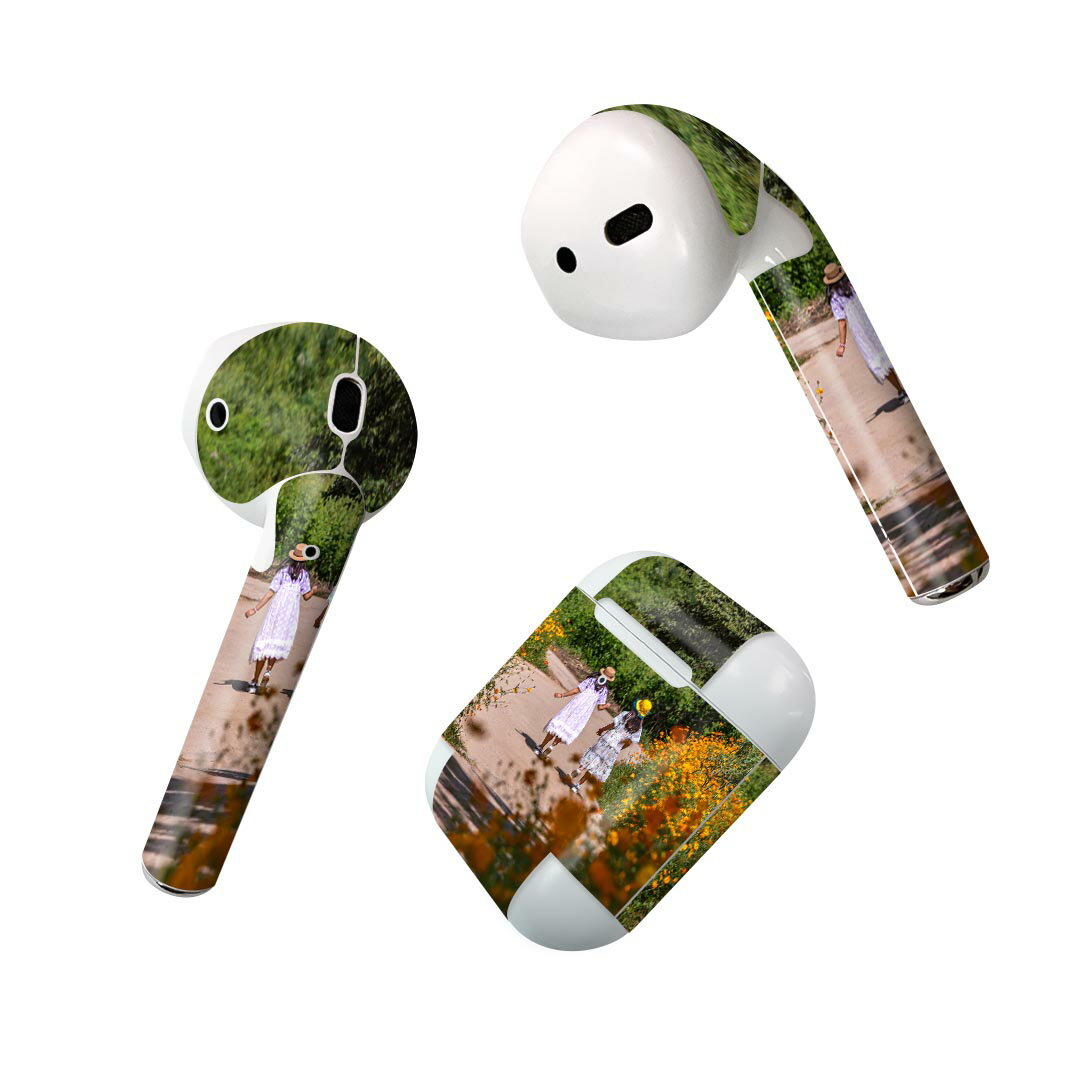 Air Pods 専用 デザインスキンシール airpods エアポッド apple アップル AirPods 第一世代（2016）air..