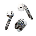 Air Pods 専用 デザインスキンシール airpods エアポッド apple アップル AirPods 第一世代(2016)airpods2 第二世代(...