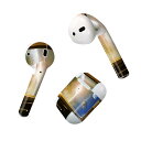 Air Pods 専用 デザインスキンシール airpods エアポッド apple アップル AirPods 第一世代(2016)airpods2 第二世代(...