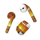 Air Pods 専用 デザインスキンシール airpods エアポッド apple アップル AirPods 第一世代(2016)airpods2 第二世代(...