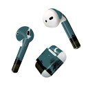 Air Pods 専用 デザインスキンシール airpods エアポッド apple アップル AirPods 第一世代(2016)airpods2 第二世代(...