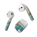 Air Pods 専用 デザインスキンシール airpods エアポッド apple アップル AirPods 第一世代(2016)airpods2 第二世代(...