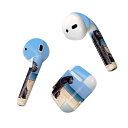 Air Pods 専用 デザインスキンシール airpods エアポッド apple アップル AirPods 第一世代(2016)airpods2 第二世代(...