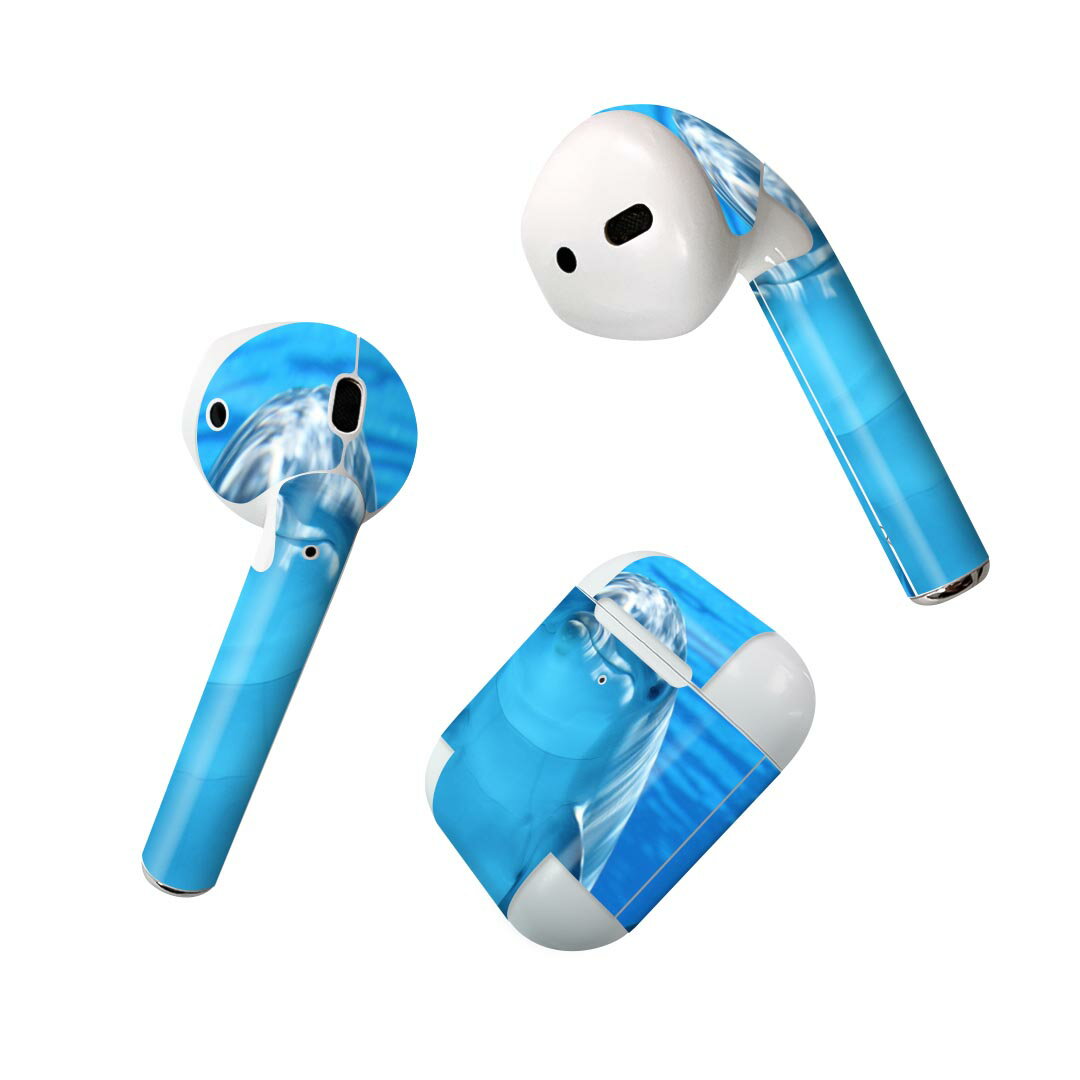 Air Pods 専用 デザインスキンシール airpods エアポッド apple アップル AirPods 第一世代（2016）airpods2 第二世代（2019）対応 イヤホン カバー デコレーション アクセサリー デコシール 023228 イルカ　動物　写真