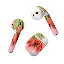 Air Pods 専用 デザインスキンシール airpods エアポッド apple アップル AirPods 第一世代(2016)airpods2 第二世代(...