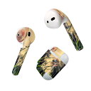 Air Pods 専用 デザインスキンシール airpods エアポッド apple アップル AirPods 第一世代(2016)airpods2 第二世代(2019)対応 イヤホン カバー デコレーション アクセサリー デコシール 023404 しゃぼん玉 景色
