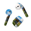 Air Pods 専用 デザインスキンシール airpods エアポッド apple アップル AirPods 第一世代(2016)airpods2 第二世代(...
