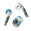 Air Pods 専用 デザインスキンシール airpods エアポッド apple アップル AirPods 第一世代(2016)airpods2 第二世代(...