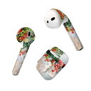 Air Pods 専用 デザインスキンシール airpods エアポッド apple アップル AirPods 第一世代(2016)airpods2 第二世代(...