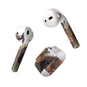 Air Pods 専用 デザインスキンシール airpods エアポッド apple アップル AirPods 第一世代(2016)airpods2 第二世代(...