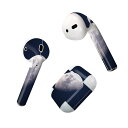 Air Pods 専用 デザインスキンシール airpods エアポッド apple アップル AirPods 第一世代(2016)airpods2 第二世代(...