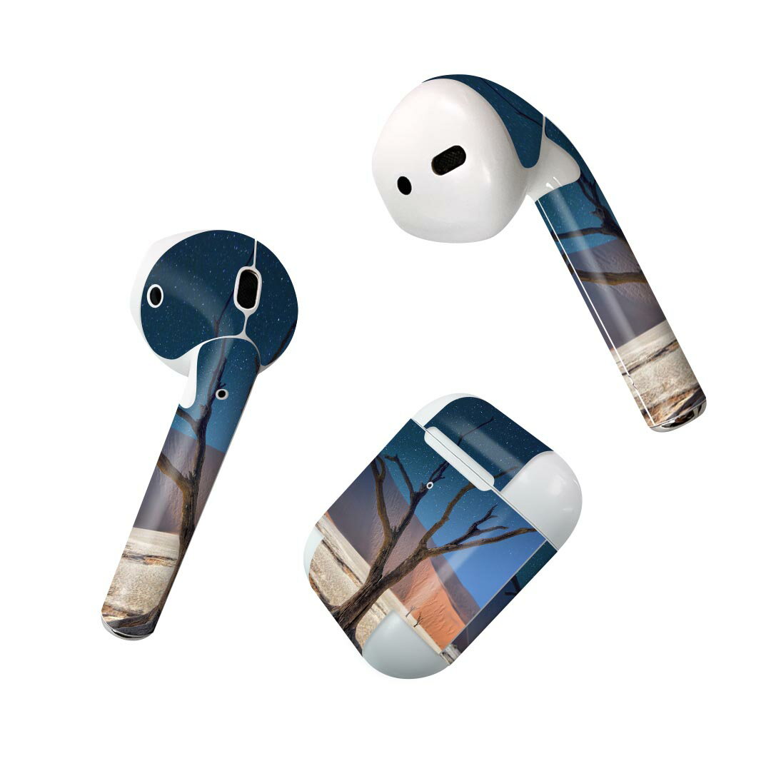 Air Pods 専用 デザインスキンシール airpods エアポッド apple アップル AirPods 第一世代（2016）airpods2 第二世代（2019）対応 イヤホン カバー デコレーション アクセサリー デコシール 023599 景色　山　木