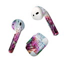 Air Pods 専用 デザインスキンシール airpods エアポッド apple アップル AirPods 第一世代(2016)airpods2 第二世代(...