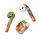 Air Pods 専用 デザインスキンシール airpods エアポッド apple アップル AirPods 第一世代(2016)airpods2 第二世代(...