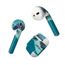 Air Pods 専用 デザインスキンシール airpods エアポッド apple アップル AirPods 第一世代(2016)airpods2 第二世代(...
