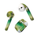 Air Pods 専用 デザインスキンシール airpods エアポッド apple アップル AirPods 第一世代(2016)airpods2 第二世代(...